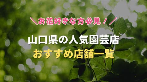 【優良店厳選】下関風俗のおすすめ店を紹介｜アンダーナ